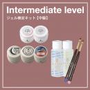 ベトロ ジェル検定キット(中級) VJC-KIT3