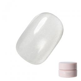 Riccagel アイアンサンドジェル 2.7g FE04
