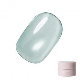 Riccagel アイアンサンドジェル 2.7g FE09