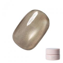 Riccagel アイアンサンドジェル 2.7g FE17