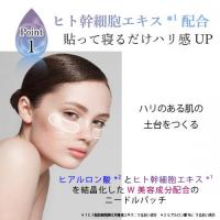 デムジー マイクロパッチ 2シート入り