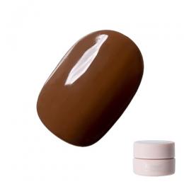 Riccagel カラージェル 2.7g 063M