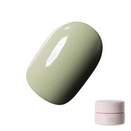 Riccagel カラージェル 2.7g 101A
