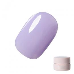 Riccagel カラージェル 2.7g 105S
