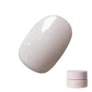 Riccagel カラージェル 2.7g 123GS