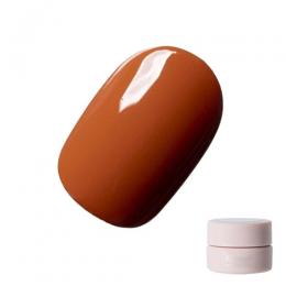 Riccagel カラージェル 2.7g 144M