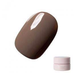 Riccagel カラージェル 3g 147M