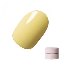Riccagel カラージェル 2.7g 185M