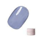 Riccagel カラージェル 2.7g 251C