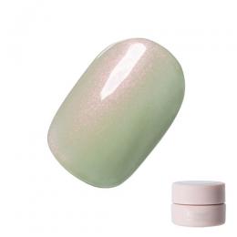 Riccagel カラージェル 2.7g 329PS
