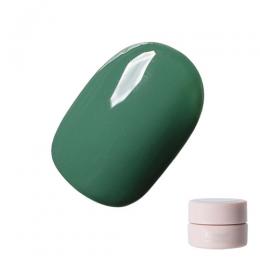 Riccagel カラージェル 2.7g 330M