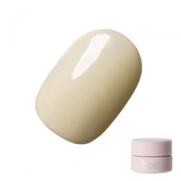 Riccagel カラージェル 2.7g 343MS