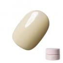 Riccagel カラージェル 2.7g 343MS