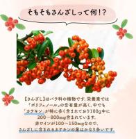 ◎㈱GICフルーツハーブさんざし1000ml 紙パック
