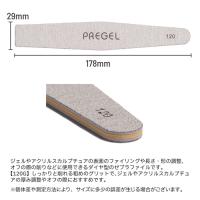 プリジェル ゼブラファイル ダイヤ型 120G